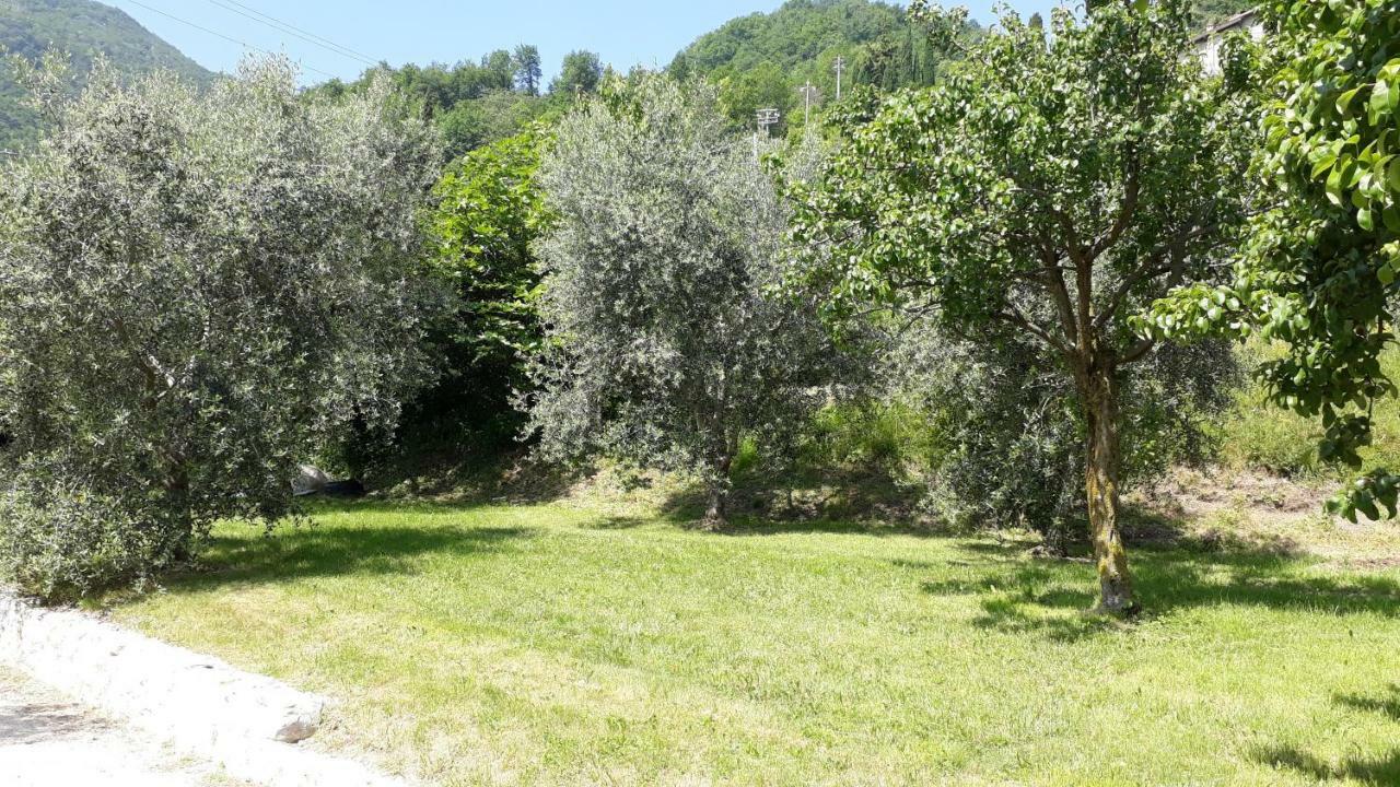 Casa Gina Garden And View By Gardadomusmea Βίλα Tremosine Εξωτερικό φωτογραφία